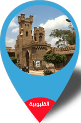 صيانة فريش هوم  علي مستوي جمهورية مصر العربية فى القليوبية